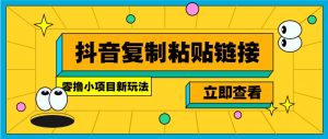 零撸小项目，新玩法，抖音复制链接0.07一条，20秒一条，无限制。-511资料网