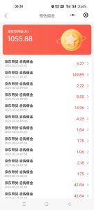 京东达人视频带货速成班，长期饭票，稳定月入3K-511资料网