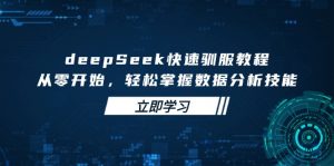 deepSeek快速驯服教程，从零开始，轻松掌握数据分析技能-511资料网