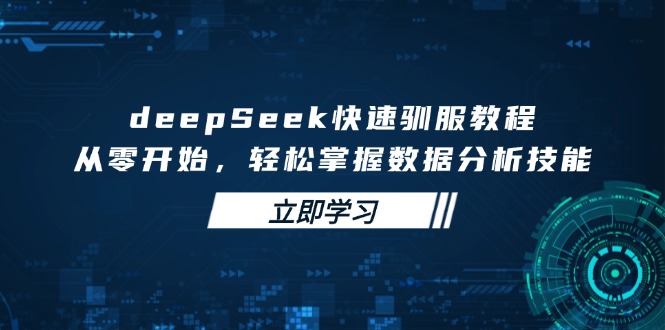 deepSeek快速驯服教程，从零开始，轻松掌握数据分析技能-511资料网