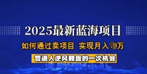 2025蓝海项目，普通人如何通过卖项目，实现月入过W，全过程【揭秘】-511资料网