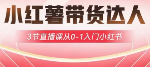 小红薯达人带货启航计划,3节直播课从0-1入门小红书-511资料网