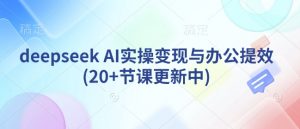 deepseek AI实操变现与办公提效(20+节课更新中)-511资料网