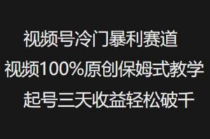 视频号冷门暴利赛道视频100%原创保姆式教学起号三天收益轻松破千-511资料网