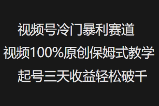 视频号冷门暴利赛道视频100%原创保姆式教学起号三天收益轻松破千-511资料网