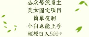 流量主长期收益项目，美女图片简单复制，小白也能上手，轻松日入5张-511资料网