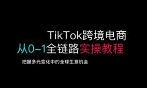 TikTok跨境电商从0-1全链路全方位实操教程，把握多元变化中的全球生意机会-511资料网