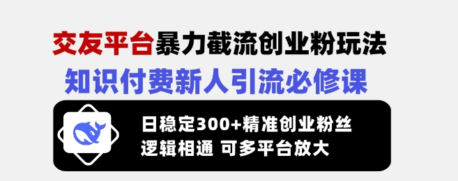 交友平台暴力截流创业粉玩法，知识付费新人引流必修课，日稳定300+精准创业粉丝，逻辑相通可多平台放大-511资料网