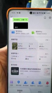 抖音暴力涨粉技术：一天轻松1-10万粉，技术不确定真实性，自测-511资料网