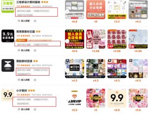 0成本虚拟项目实战手把手教你落地，单店月入5k-511资料网