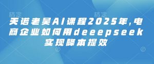 天诺老吴AI课程2025年,电商企业如何用deeepseek实现降本提效-511资料网
