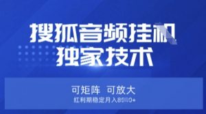 【搜狐音频挂G】独家技术，可矩阵可放大，红利期稳定月入8k【揭秘】-511资料网