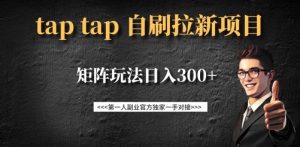 taptap拉新自刷项目，一个新用户14元，矩阵玩法日入300+-511资料网