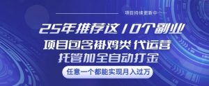 25年推荐这10个副业项目包含褂鸡类、代运营托管类、全自动打金类【揭秘】-511资料网