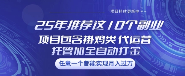 25年推荐这10个副业项目包含褂鸡类、代运营托管类、全自动打金类【揭秘】-511资料网
