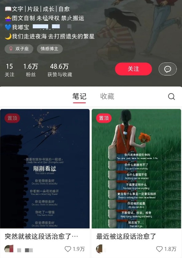 小红书治愈文案图文笔记，零门槛，一分钟制作轻松制作爆款作品月入万元-511资料网