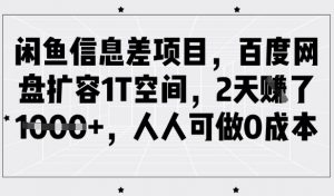 闲鱼信息差项目，百度网盘扩容1T空间，2天收益1k+，人人可做0成本-511资料网