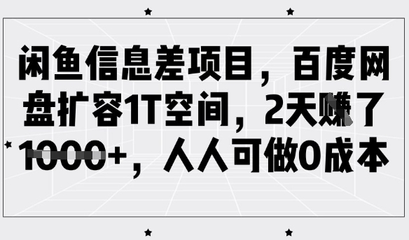 闲鱼信息差项目，百度网盘扩容1T空间，2天收益1k+，人人可做0成本-511资料网