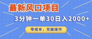 最新短剧项目操作，3分钟一单30。日入2000左右，零成本，无脑操作。-511资料网
