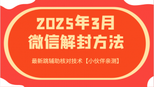 2025年3月微信解封方法 最新跳辅助核对技术【小伙伴亲测】-511资料网