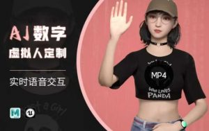 Ai数字人虚拟(智能体)实时语音交互特训营，​自行定制超写实角色AI数字人交互技术-511资料网