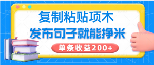 复制粘贴小项目，发布句子就能赚米，单条收益200+-511资料网