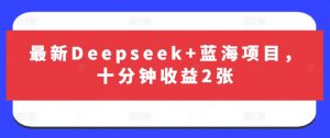 最新Deepseek+蓝海项目，十分钟收益2张-511资料网