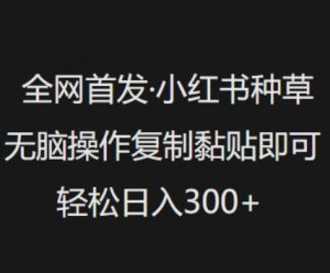 全网首发，小红书种草无脑操作，复制黏贴即可，轻松日入3张-511资料网