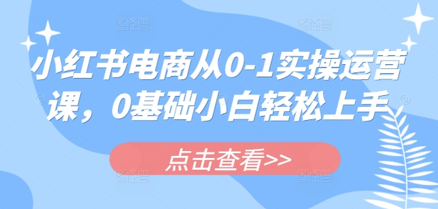 小红书电商从0-1实操运营课，0基础小白轻松上手-511资料网