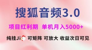 搜狐音频挂ji3.0.可矩阵可放大,独家技术,稳定月入5000+【揭秘】-511资料网
