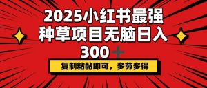 2025小红书最强种草项目，无脑日入300+，复制粘帖即可，多劳多得-511资料网