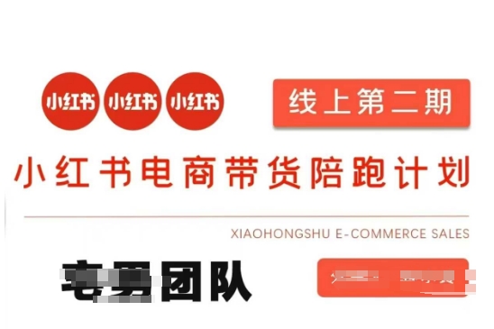 小红书电商带货课2期，月利润20个的小红书电商的有货源，无货源，虚拟产品，付费投流等整套玩法-511资料网