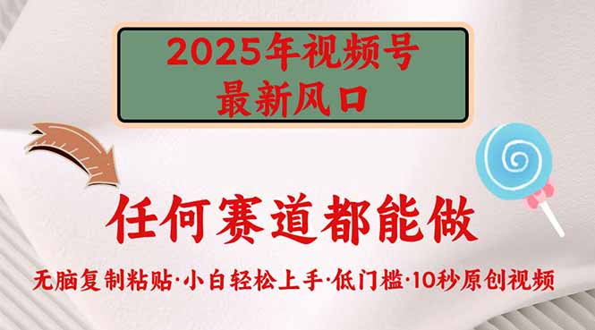 2025年视频号新风口，低门槛只需要无脑执行-511资料网