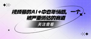 视频号的AI+中老年情感，一个被严重低估的赛道-511资料网