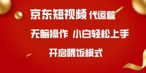 京东短视频代运营，全程喂饭，小白轻松上手【揭秘】-511资料网