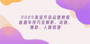 2025淘宝开店运营教程更新，直通车技巧全解析，动销、爆款、人群搭建-511资料网