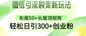 微信引流裂变新玩法：布局50+长尾词矩阵，轻松日引300+创业粉-511资料网