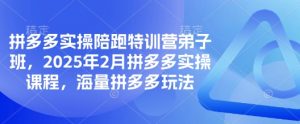 拼多多实操陪跑特训营弟子班，2025年2月拼多多实操课程，海量拼多多玩法-511资料网