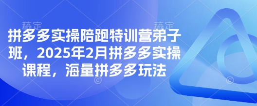 拼多多实操陪跑特训营弟子班，2025年2月拼多多实操课程，海量拼多多玩法-511资料网