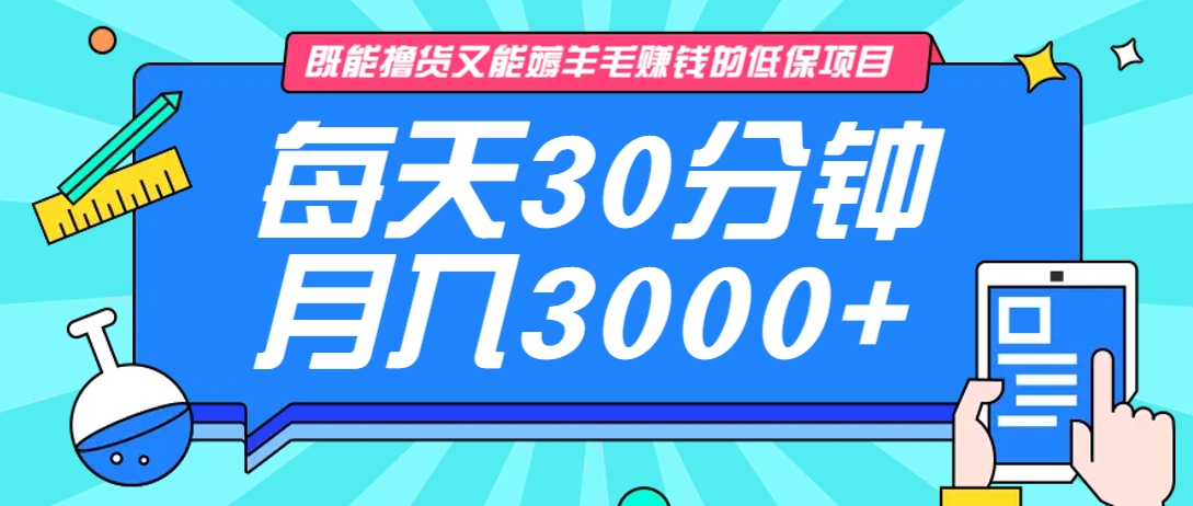既能撸货又能赚钱的长期低保项目，每天30分钟，多号百分百稳定月入3000+！-511资料网