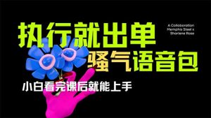 爆火全网的开车导航骚气语音包,只要执行就出单，小白看完课程就能实操...-511资料网