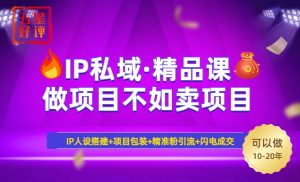 2025年“IP私域·密训精品课”，日赚3000+小白避坑年赚百万，暴力引流...-511资料网