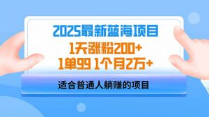 2025蓝海项目 1天涨粉200+ 1单99 1个月2万+-511资料网