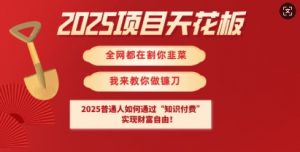 2025项目天花板普通人如何通过知识付费，实现财F自由【揭秘】-511资料网