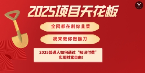 2025项目天花板普通人如何通过知识付费，实现财F自由【揭秘】-511资料网