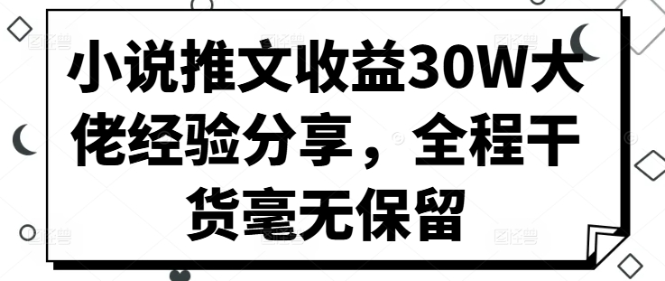 小说推文收益30W大佬经验分享，全程干货毫无保留-511资料网