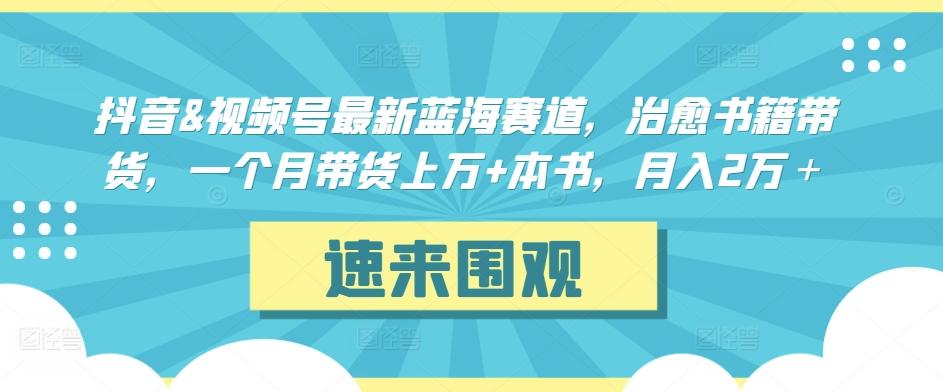抖音&视频号最新蓝海赛道，治愈书籍带货，一个月带货上万+本书，月入2万＋【揭秘】-511资料网