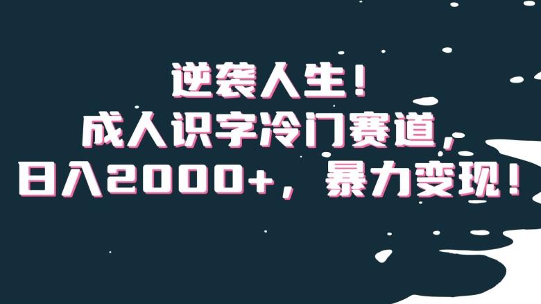 逆袭人生！成人识字冷门赛道，日入2000+，暴力变现！【揭秘】-511资料网