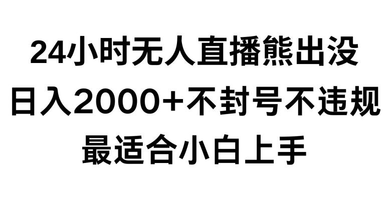 快手24小时无人直播熊出没，不封直播间，不违规，日入2000+，最适合小白上手，保姆式教学【揭秘】-511资料网