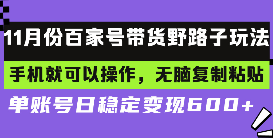 百家号带货野路子玩法 手机就可以操作，无脑复制粘贴 单账号日稳定变现...-511资料网